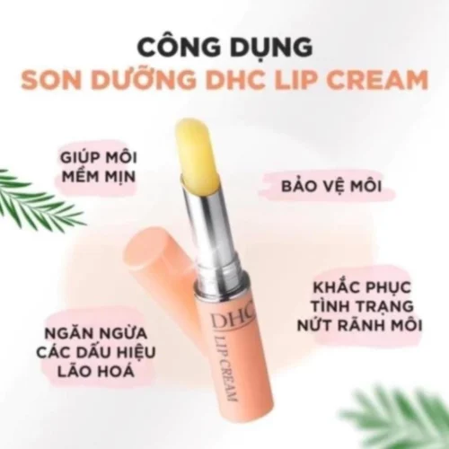 vn 11134201 7ra0g m6dp66qpjbrr2b